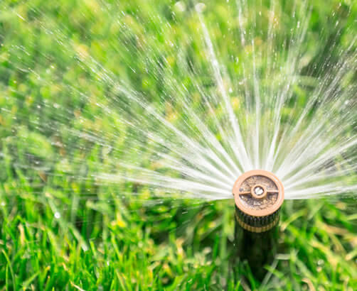 Irrigation Consultants